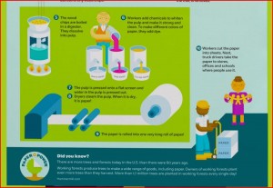 HOW PAPER IS MADE-2