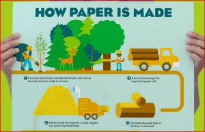 HOW PAPER IS MADE-1