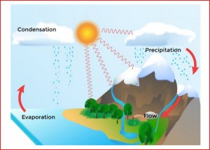 water cycle-5