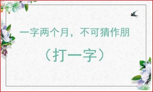yong zi mi