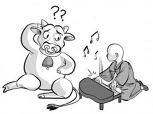playing_music_to_a_cow