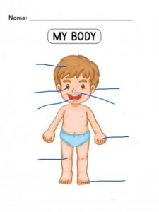 K1-L2--090420 my body hw