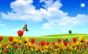 1685262-Tulips-Wallpapers-HD-free-wallpapers-backgrounds-images-FHD-4k-download-2014-2015-2016