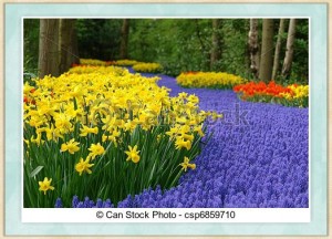 can-stock-photo_csp6859710_副本