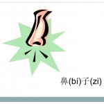 nose card