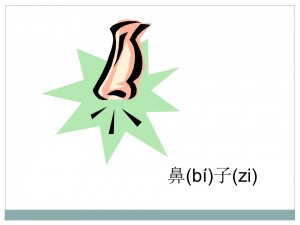 nose card