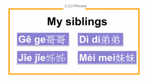 Slide11