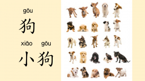 Slide16